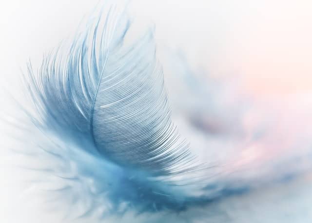 Mediumship Workshop